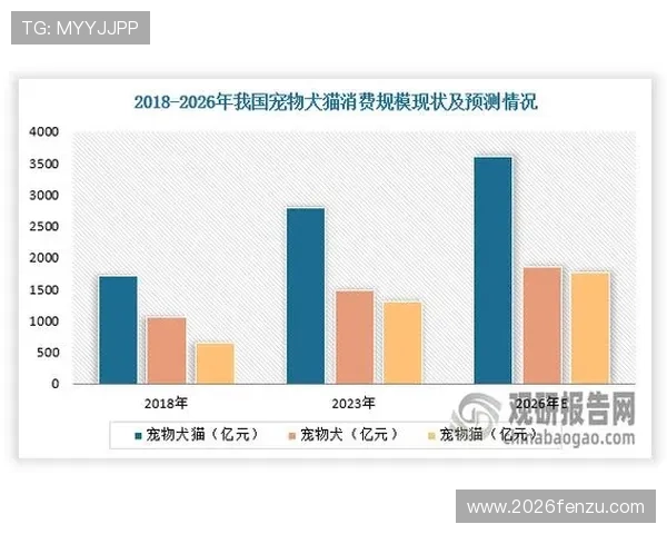 中国足彩官网公告2024年最新更新内容详解帮助玩家及时了解官方信息